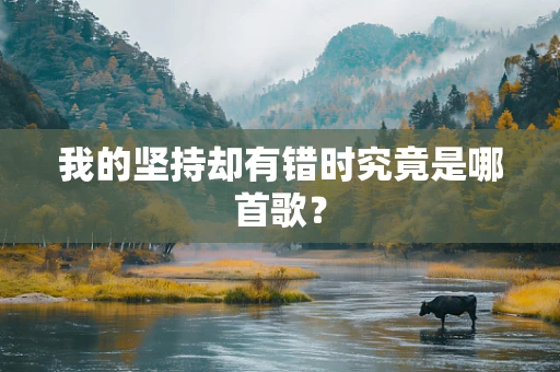 我的坚持却有错时究竟是哪首歌？