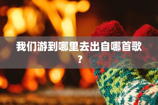 我们游到哪里去出自哪首歌？