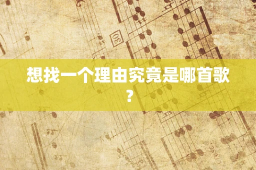 想找一个理由究竟是哪首歌？