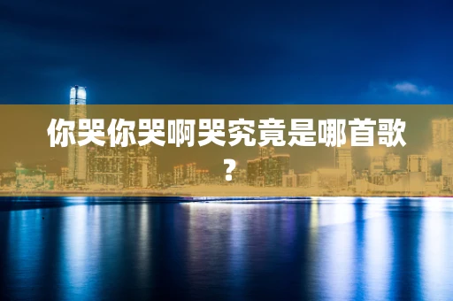 你哭你哭啊哭究竟是哪首歌？