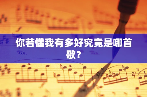 你若懂我有多好究竟是哪首歌？