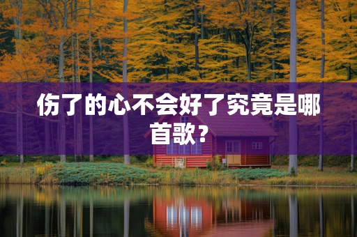 伤了的心不会好了究竟是哪首歌？