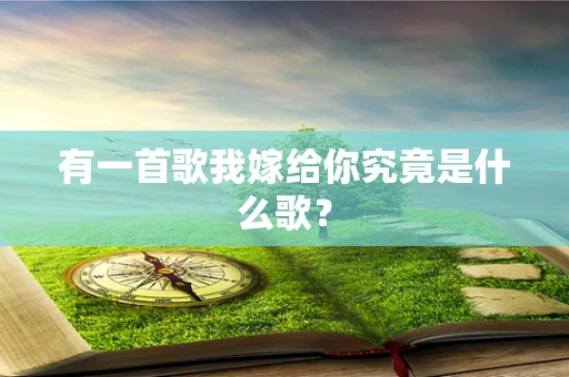 有一首歌我嫁给你究竟是什么歌？