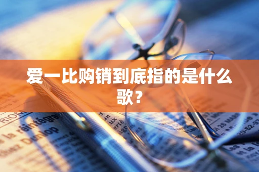 爱一比购销到底指的是什么歌？
