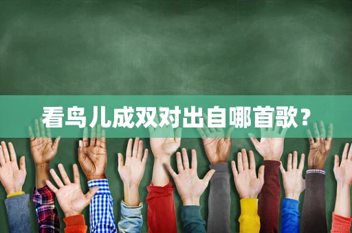 看鸟儿成双对出自哪首歌？