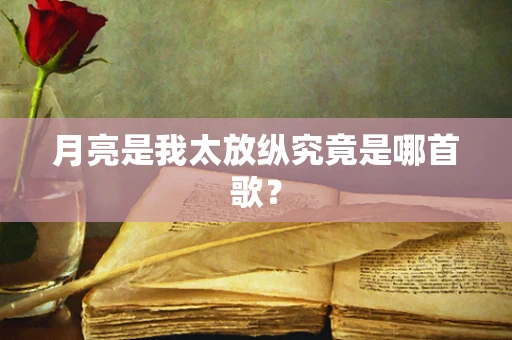 月亮是我太放纵究竟是哪首歌？
