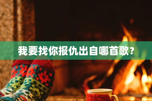 我要找你报仇出自哪首歌？