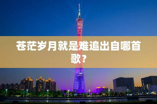 苍茫岁月就是难追出自哪首歌？
