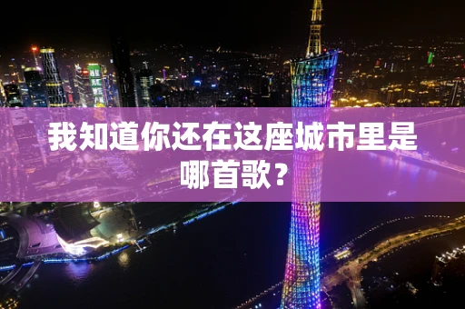 我知道你还在这座城市里是哪首歌？