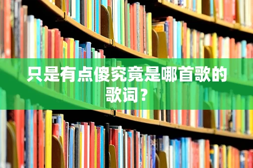 只是有点傻究竟是哪首歌的歌词？