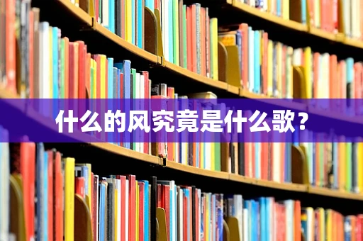 什么的风究竟是什么歌？
