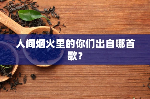 人间烟火里的你们出自哪首歌？