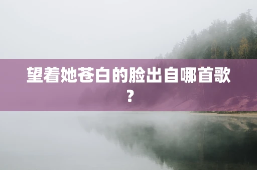 望着她苍白的脸出自哪首歌？