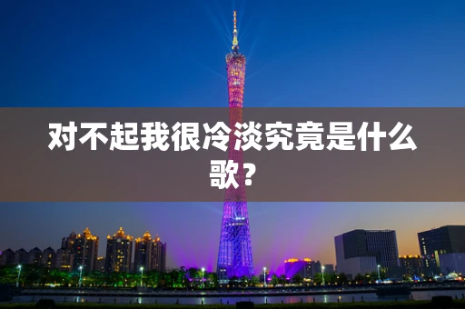 对不起我很冷淡究竟是什么歌？