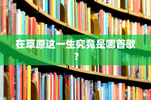 在草原这一生究竟是哪首歌？