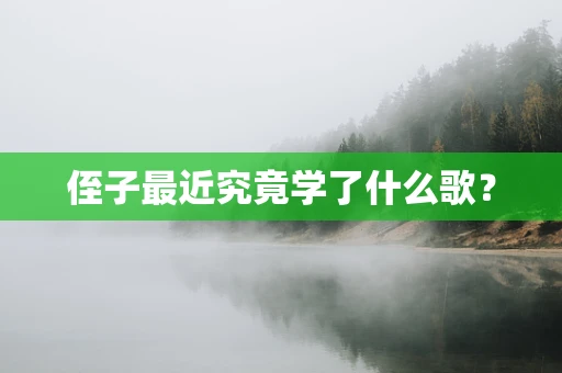 侄子最近究竟学了什么歌？