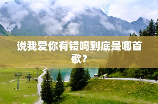 说我爱你有错吗到底是哪首歌？