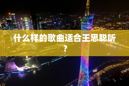 什么样的歌曲适合王思聪听？
