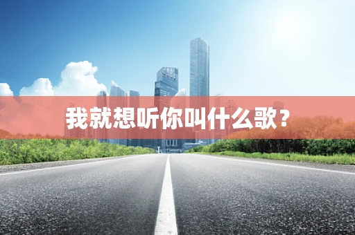 我就想听你叫什么歌？