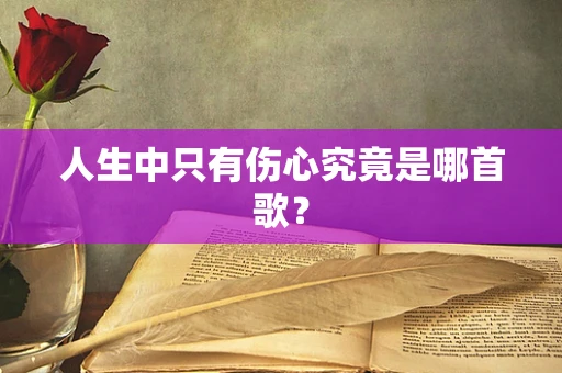 人生中只有伤心究竟是哪首歌？