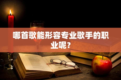 哪首歌能形容专业歌手的职业呢？