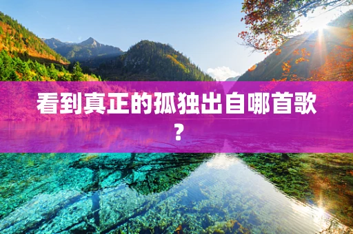 看到真正的孤独出自哪首歌？