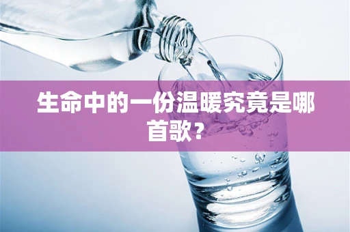 生命中的一份温暖究竟是哪首歌？