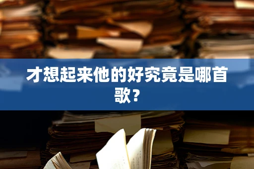 才想起来他的好究竟是哪首歌？
