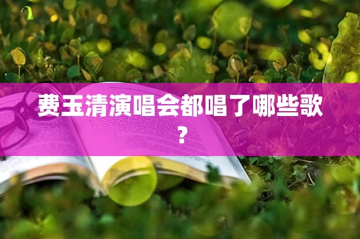 费玉清演唱会都唱了哪些歌？