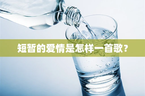 短暂的爱情是怎样一首歌？