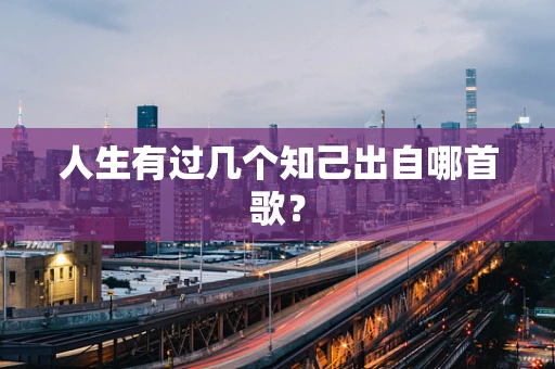 人生有过几个知己出自哪首歌？