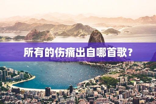 所有的伤痛出自哪首歌？