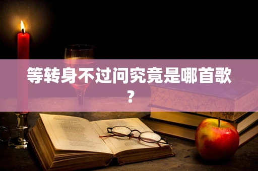 等转身不过问究竟是哪首歌？