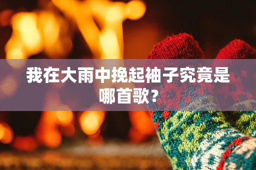 我在大雨中挽起袖子究竟是哪首歌？