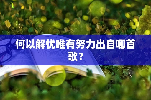 何以解忧唯有努力出自哪首歌？