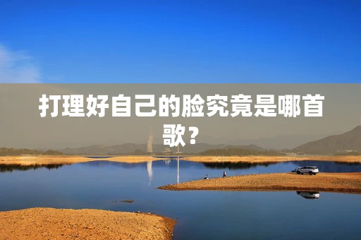 打理好自己的脸究竟是哪首歌？