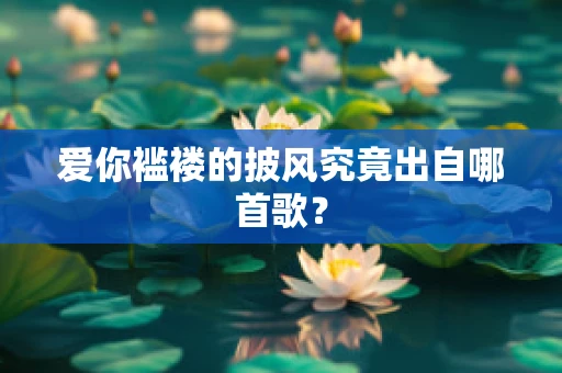 爱你褴褛的披风究竟出自哪首歌？