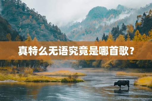 真特么无语究竟是哪首歌？