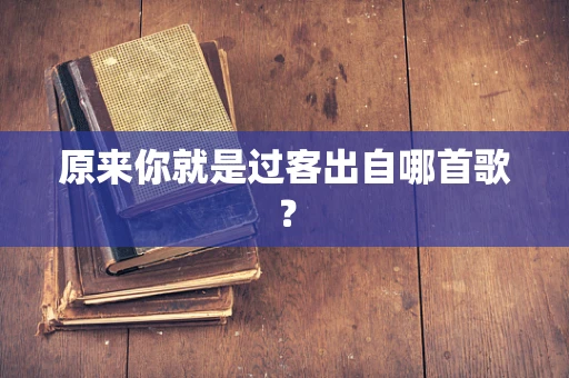 原来你就是过客出自哪首歌？