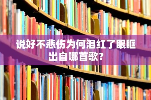 说好不悲伤为何泪红了眼眶出自哪首歌？