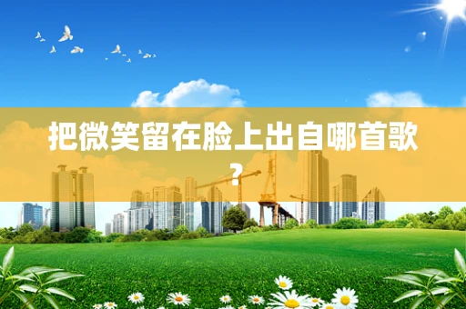 把微笑留在脸上出自哪首歌？