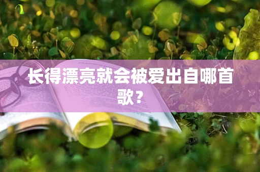长得漂亮就会被爱出自哪首歌？
