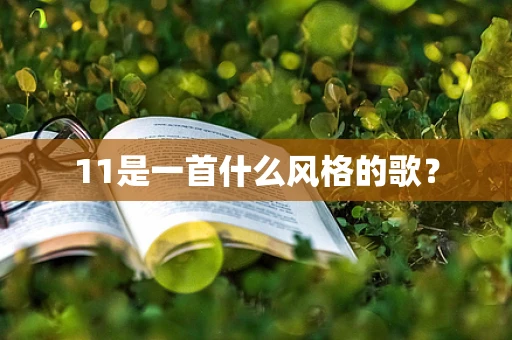 11是一首什么风格的歌？