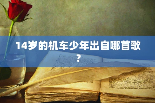 14岁的机车少年出自哪首歌？