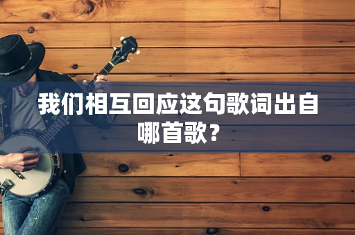 我们相互回应这句歌词出自哪首歌？