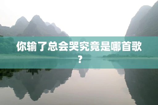 你输了总会哭究竟是哪首歌？
