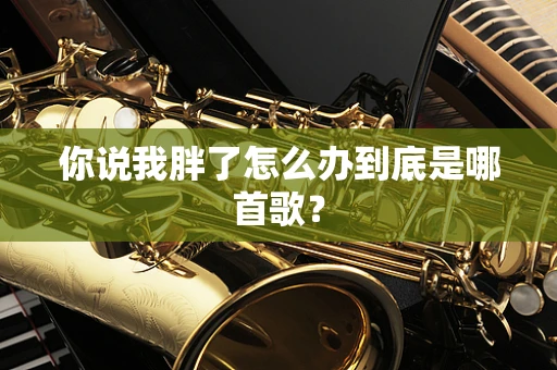 你说我胖了怎么办到底是哪首歌？