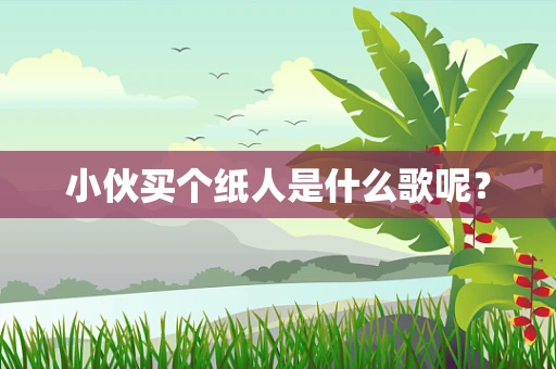 小伙买个纸人是什么歌呢？