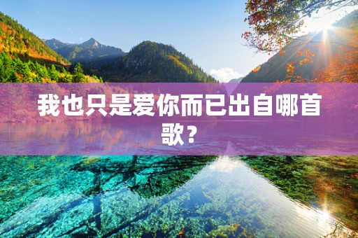 我也只是爱你而已出自哪首歌？