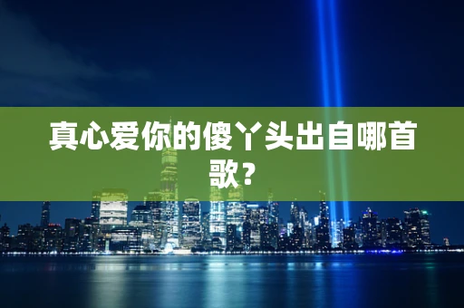 真心爱你的傻丫头出自哪首歌？